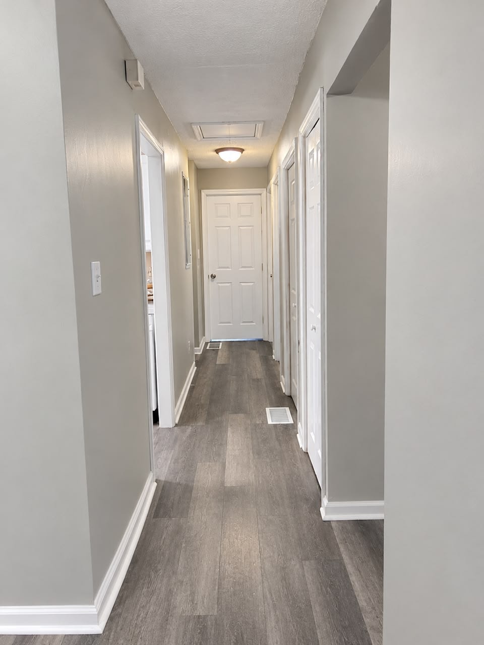 Clean bright hallway with dark wood flooring and white doors